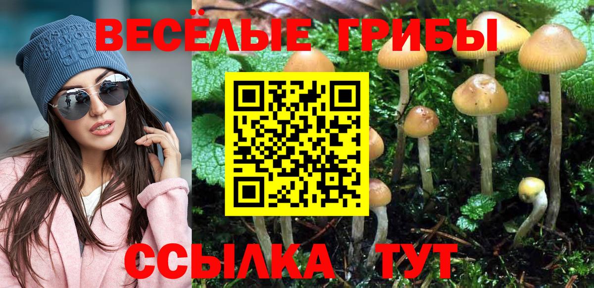 Псилоцибиновые грибы Magic Shrooms Белебей