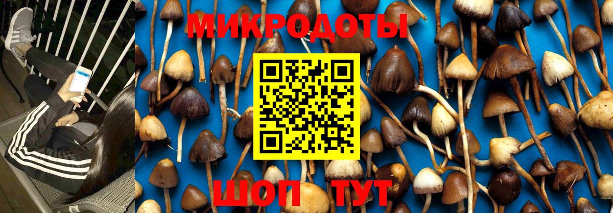 Псилоцибиновые грибы Magic Shrooms  Вход с VPN  цены наркотик  Белебей 